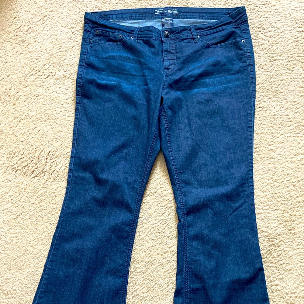 Source of Wisdom (torrid) plus size jeans